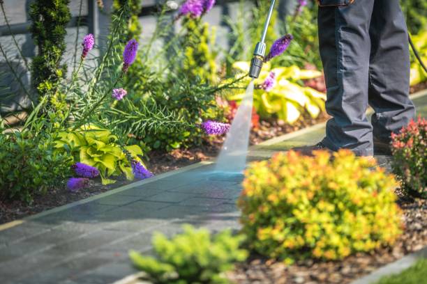 Best Commercial Pressure Washing in Waimalu, HI